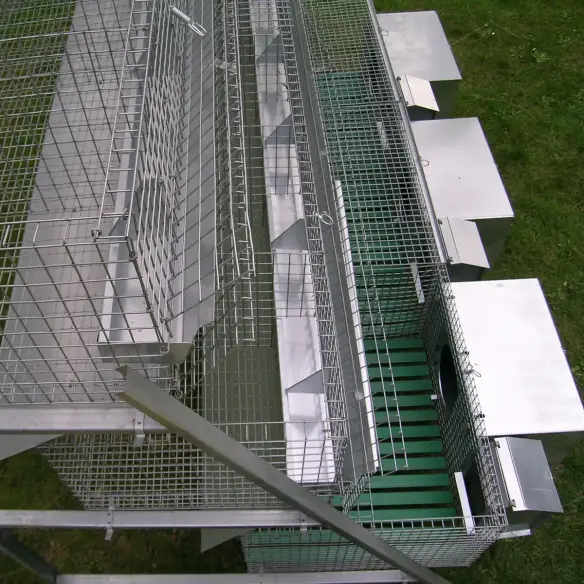 Compartimento de engorde para conejos jóvenes