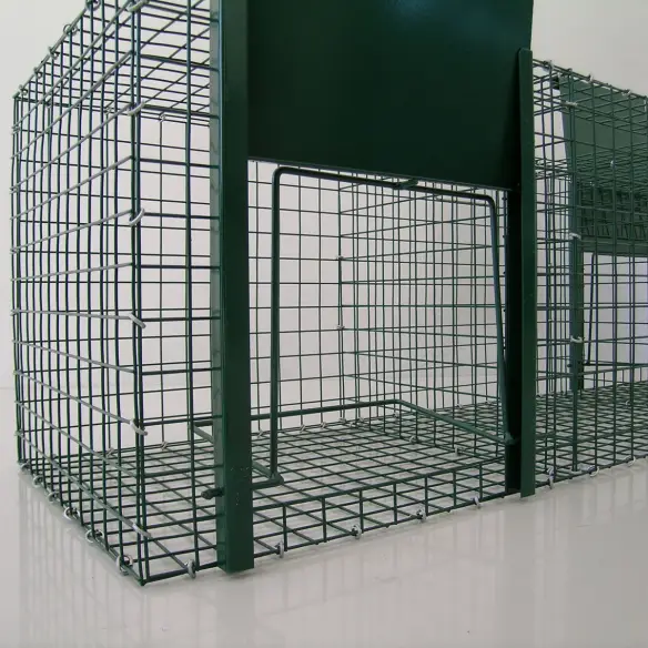 Entrada de la trampa para urracas y cuervos