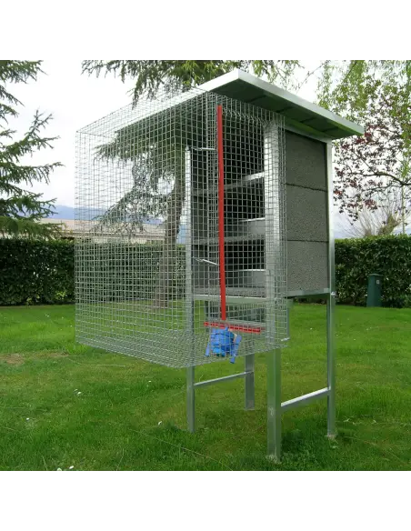 Jaula para palomas 3 parejas con nidos y accesorios Jaula para palomas 3 parejas con nidos y accesorios