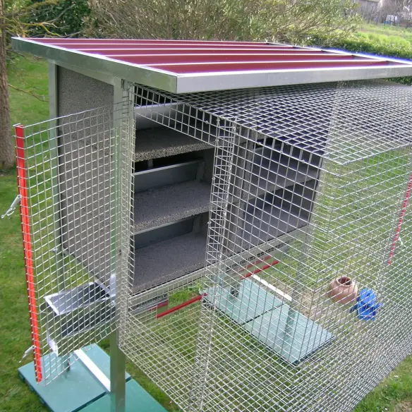 Interior de la jaula para 6 parejas de palomas