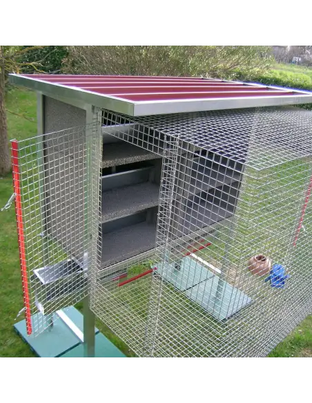Interior de la jaula para 6 parejas de palomas