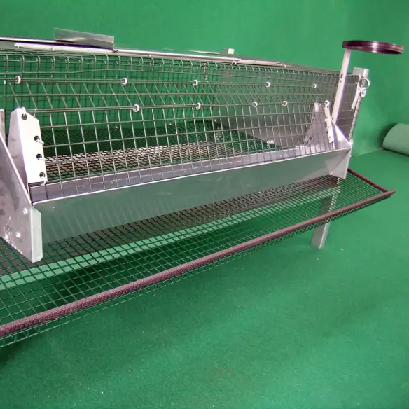 Fondo para recogida de huevos en jaula de codornices