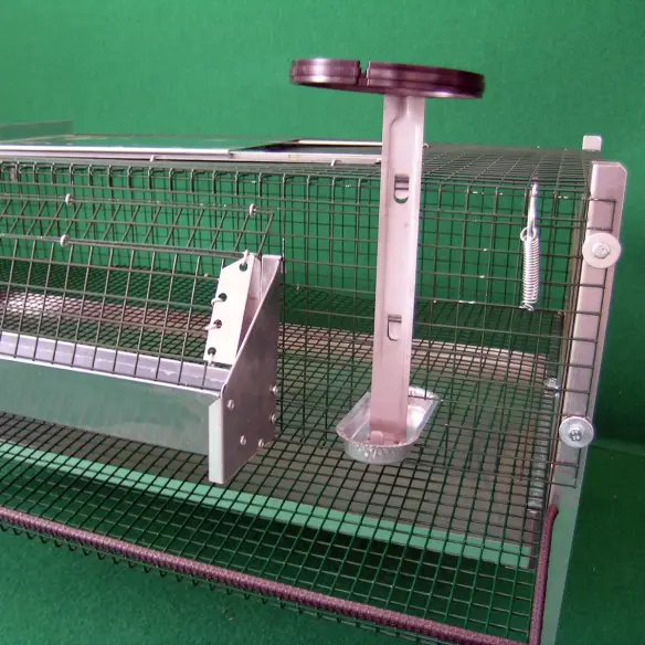 Comederos y bebederos para jaula de codornices