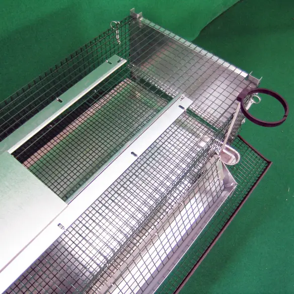 Puerta superior de la jaula para codornices