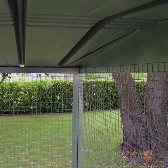 Techo de la voladera exterior para loros gallinas y faisanes