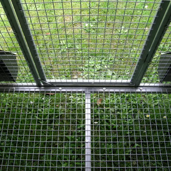 Fondo elevado del gallinero exterior para gallinas