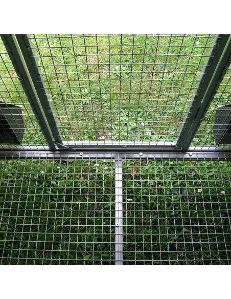 Fondo elevado del gallinero exterior para gallinas