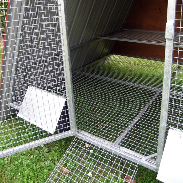 Interior elevado con percha en gallinero para gallinas