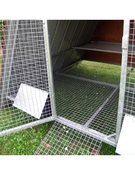 Interior elevado con percha en gallinero para gallinas
