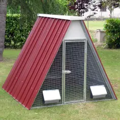 Gallinero de suelo para 12 o 20 gallinas con accesorios