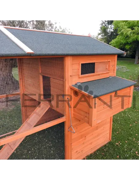 Gallinero de madera para 10 gallinas con ventana abierta