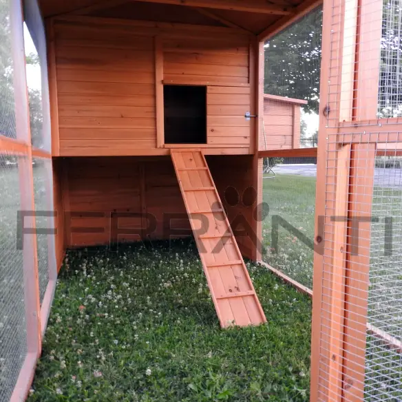 Interior del gallinero de madera con escalera para gallinas