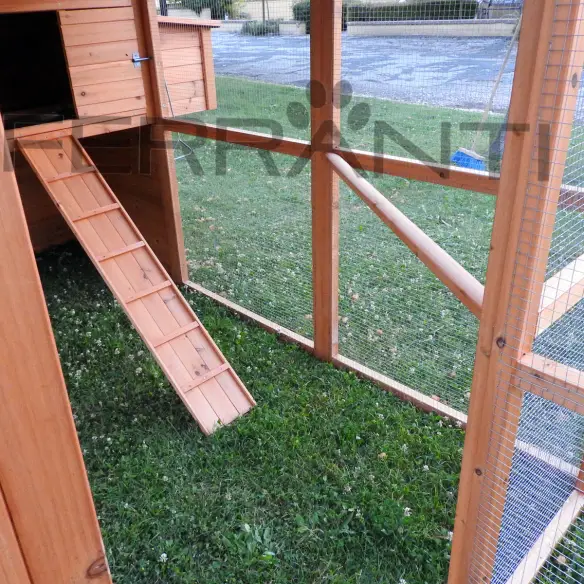 Interior del gallinero de madera con escalera para gallinas