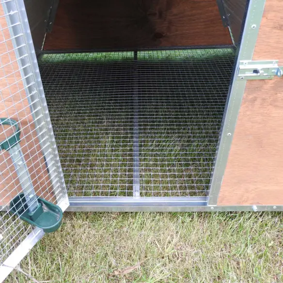 Interior del gallinero exterior aislado para 8 gallinas