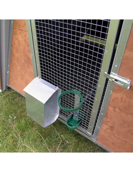 Comedero y bebedero del gallinero pequeño para gallinas