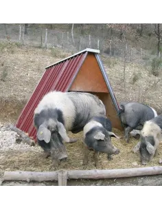 Refugio de chapa para ganado ovino, porcino, caprino
