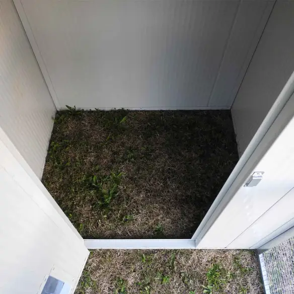 Interior caseta para gatos aislada