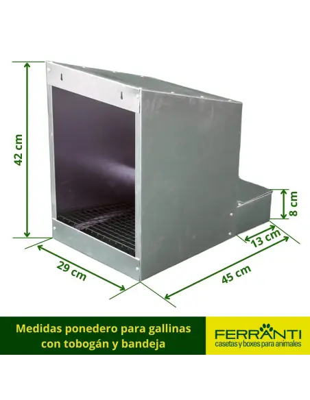Medidas ponedero para gallinas con tobogán y bandeja