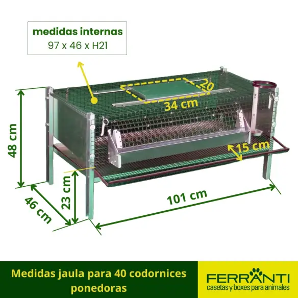 Medidas jaula para 40 codornices ponedoras
