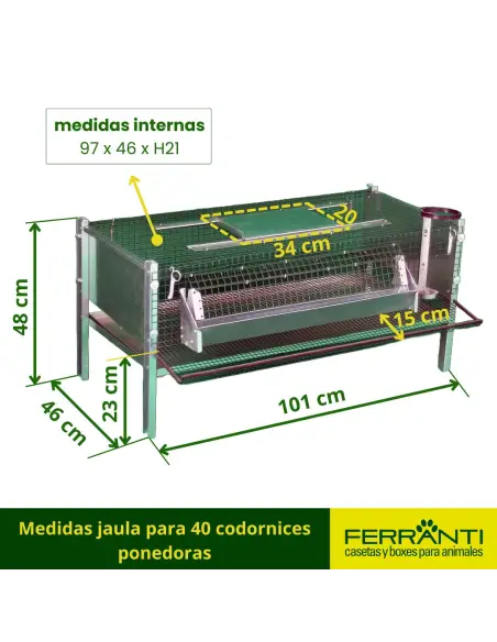 Medidas jaula para 40 codornices ponedoras