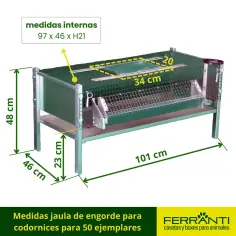 Jaula para codorniz de engorde para 50 ejemplares 2