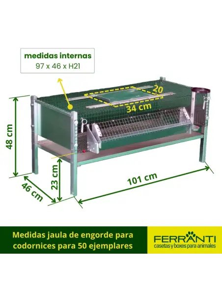 Jaula para Codorniz de Engorde para 50 ejemplares | Ferranti