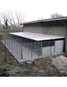 Perrera Box para Perros Grandes y Gigantes mod. Modular