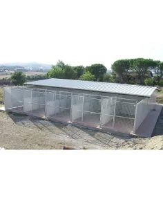 Perrera Box para Perros Grandes y Gigantes mod. Modular