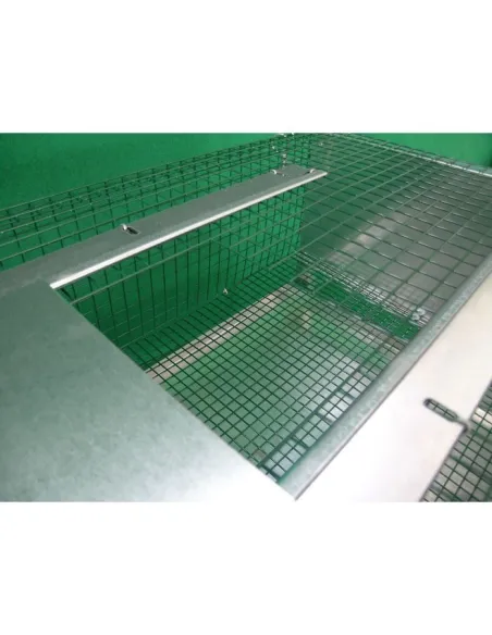 Jaula para Codorniz de Engorde para 50 ejemplares | Ferranti