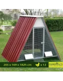 Gallinero Elevado para Hasta 20 Gallinas, Completo con Accesorios