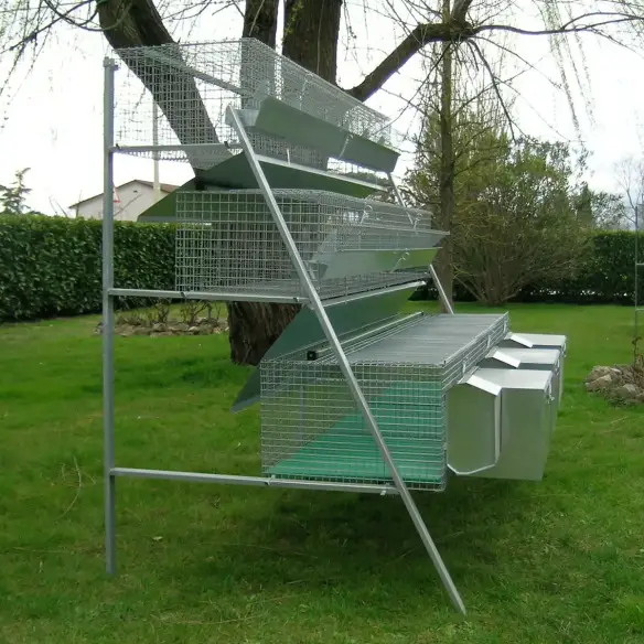 Conejera con 3 compartimentos y 12 de engorde
