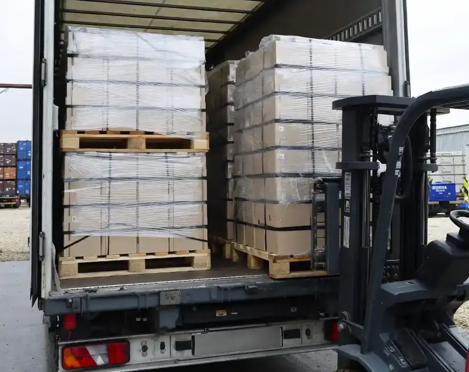 Log&iacute;stica y entrega de box para perros