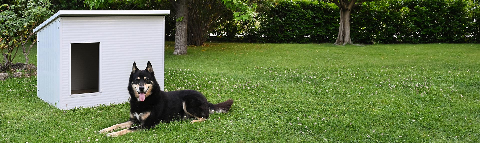 Casetas para perros con aislamiento